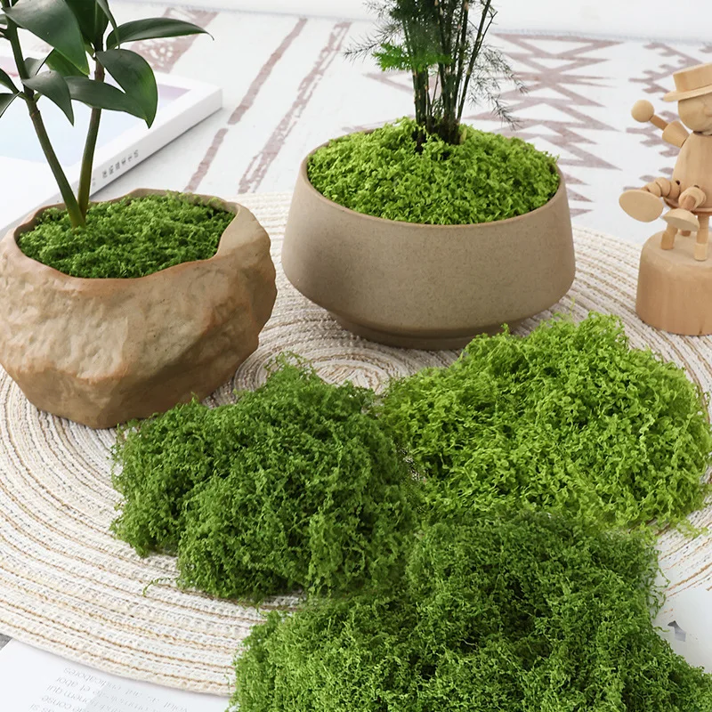 人工芝マット 人工芝生 ミニチュア芝生 マイクロランドスケー - Terrarium Moss Art のレビューと価格
