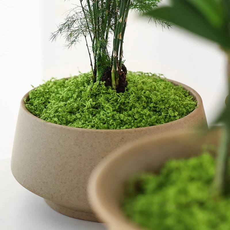 人工芝マット 人工芝生 ミニチュア芝生 マイクロランドスケー - Terrarium Moss Art のレビューと価格