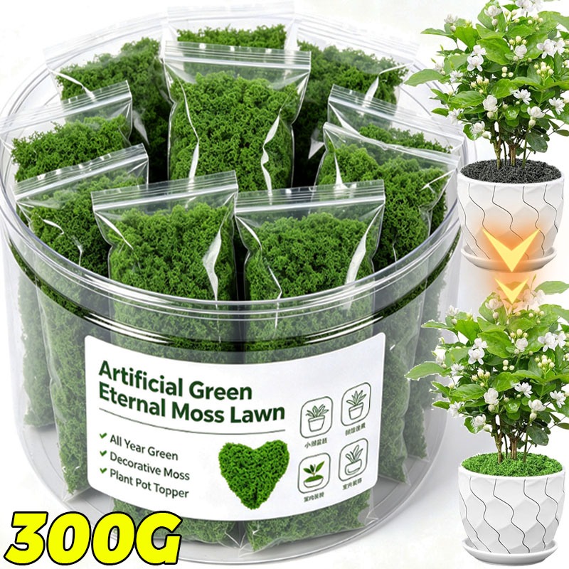 人工緑の植物、永遠の命を持つモス、DIYクラフト、フェイクプ - Terrarium Moss Art のレビューと価格